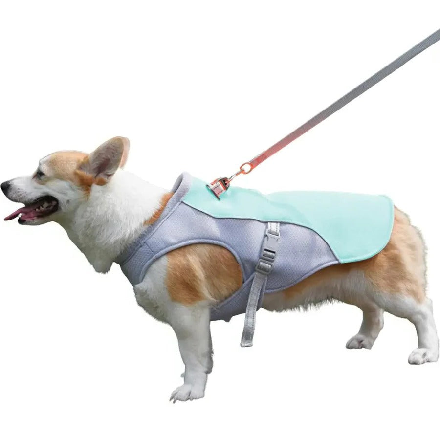 BowLift | Dog Cooling Vest for Outdoor Activities