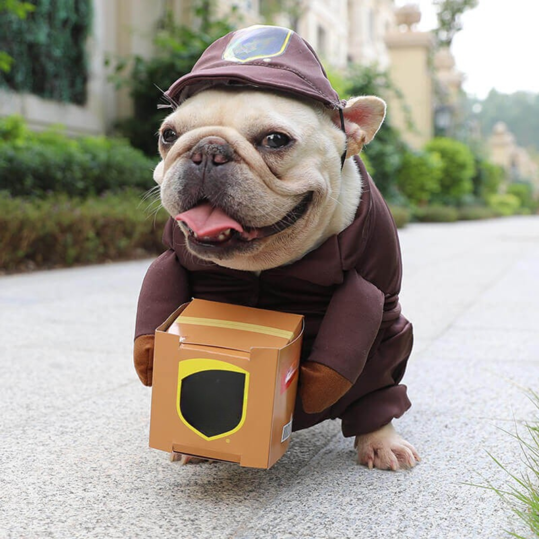 BowLift | Halloween Dog Costume Delivery Outfit