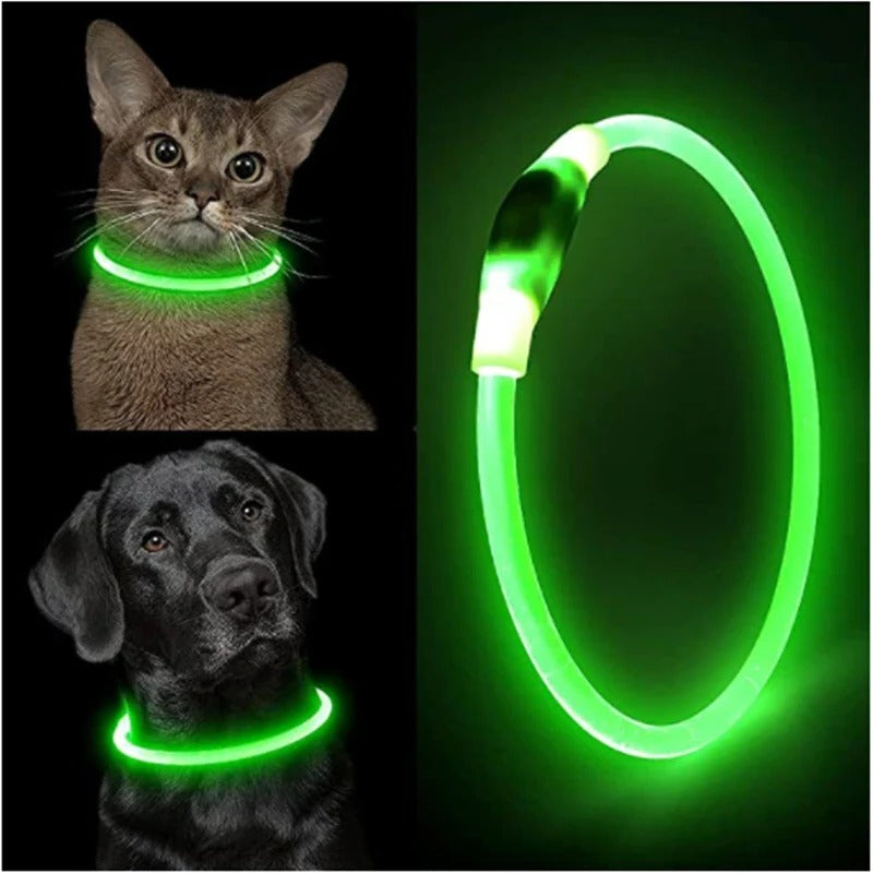 BowLift | Light Up Dog Collar, USB Rechargeable LED Glowing Collar