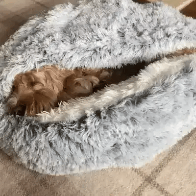 BowLift | Cozy Cave Pet Bed | Calming & Comfortable Dog Bed for Deep Relaxation