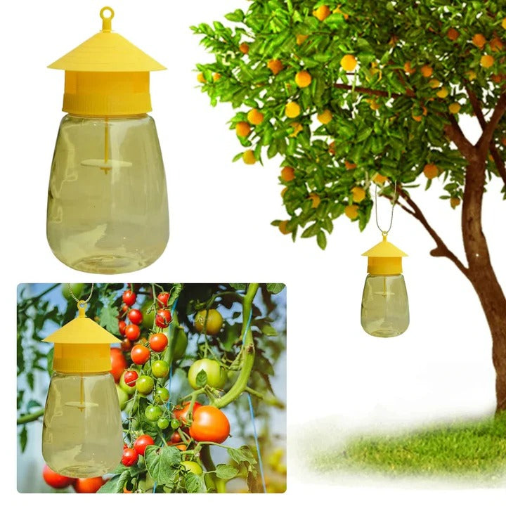 BowLift | Hanging Fruit Fly Trap