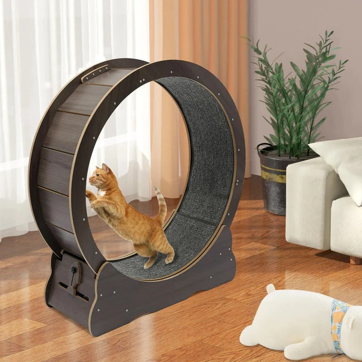 BowLift | Cat Exercise Wheel