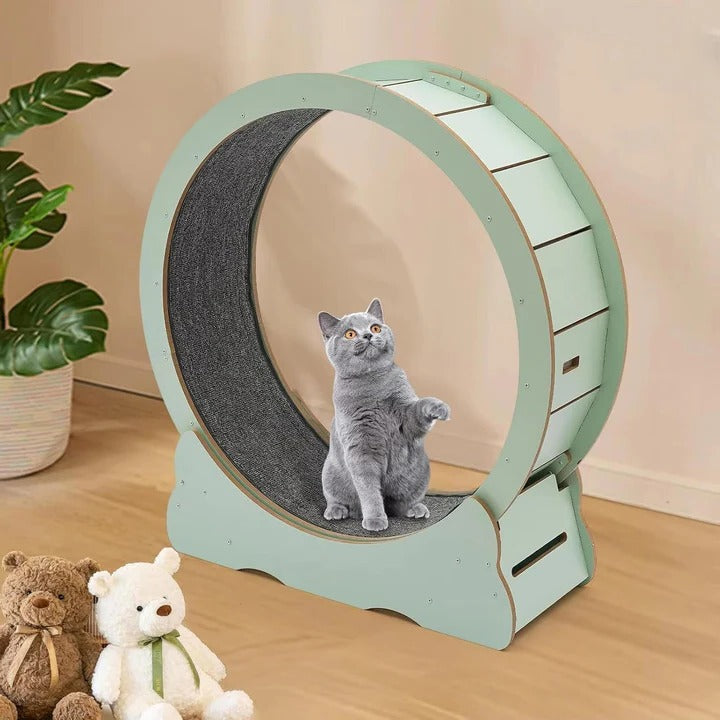 BowLift | Cat Exercise Wheel