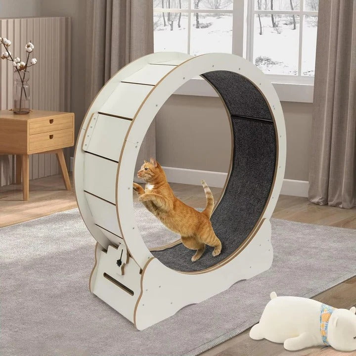 BowLift | Cat Exercise Wheel
