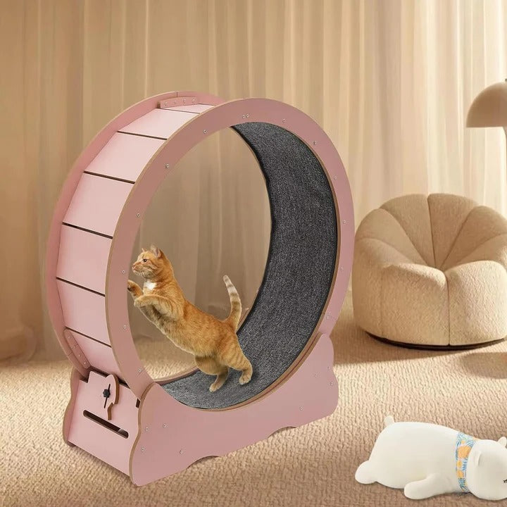 BowLift | Cat Exercise Wheel