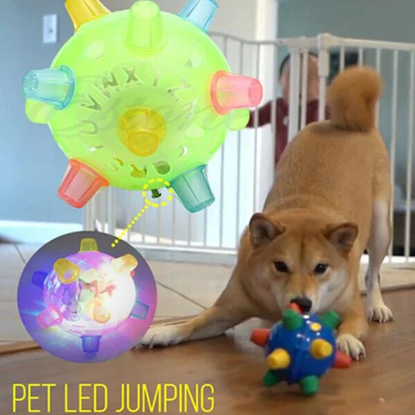 BowLift | Dog Toy LED Bouncing Interactive Ball Rubber