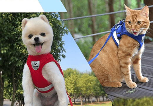 BowLift | Escape-proof cat harness with reflective details