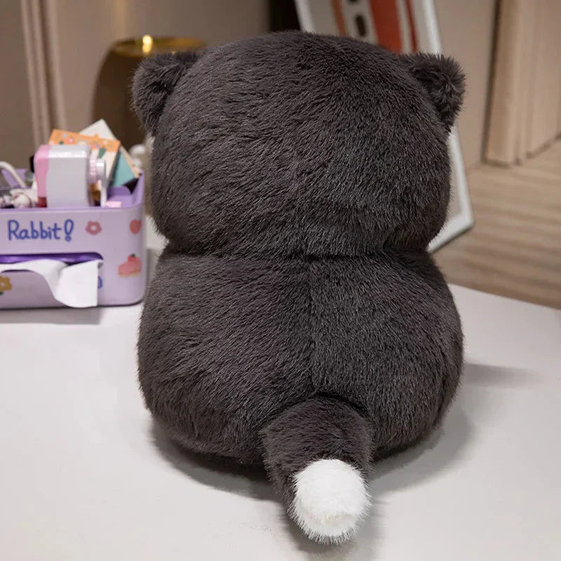 BowLift | Cute Chubby Gray Ginger Cat Plushies
