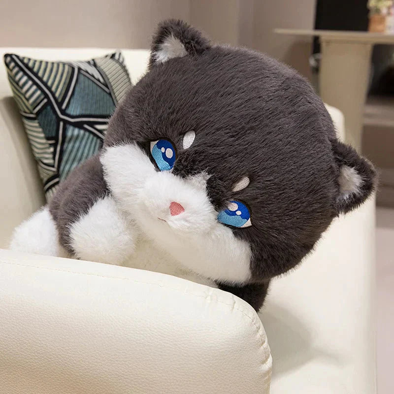 BowLift | Cute Chubby Gray Ginger Cat Plushies