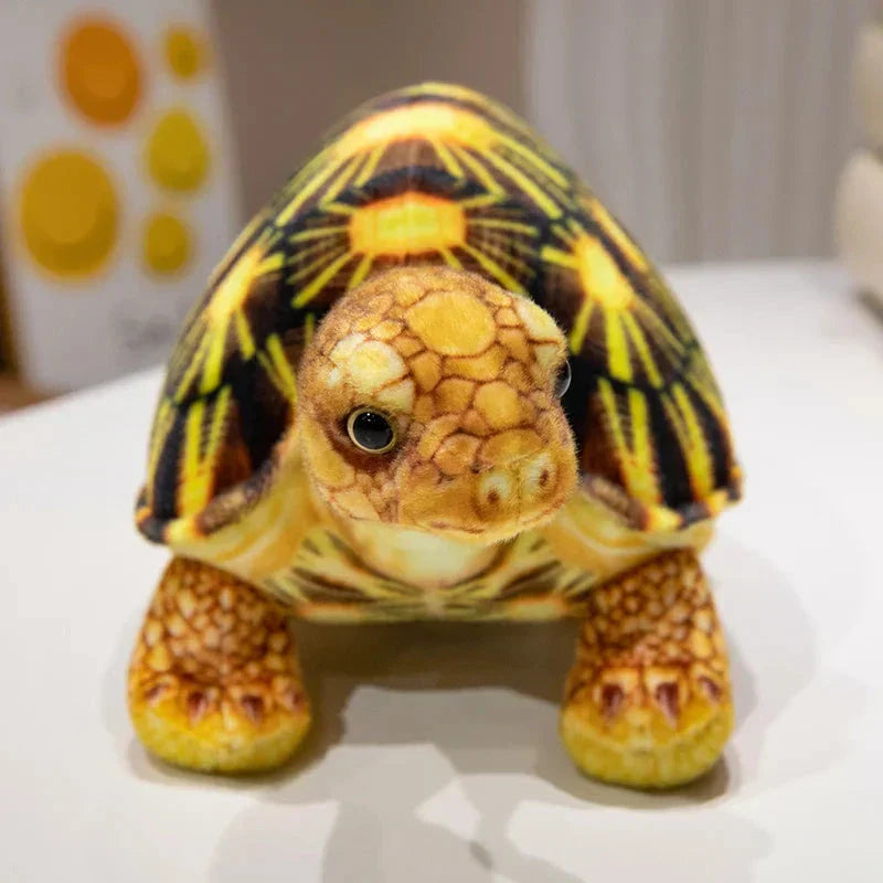 BowLift | Cute Life Like Tortoise Plushie