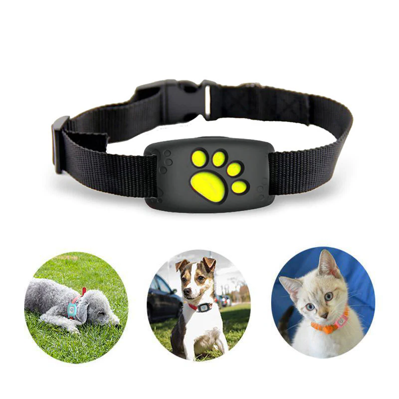 BowLift | Pet GPS Tracker Collar for Dogs and Cats
