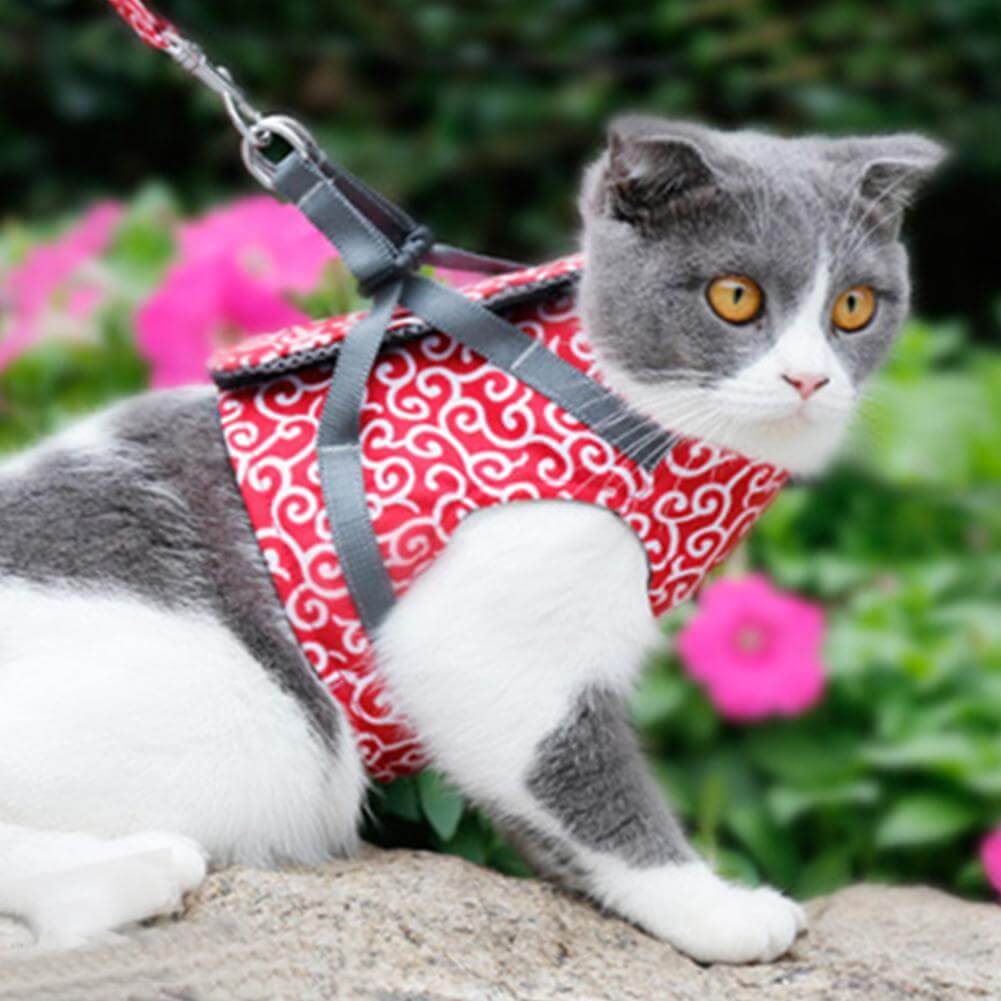 BowLift | PAWVENTURE HARNESS – Cat Harness Vest Set with Breathable Mesh & Leash
