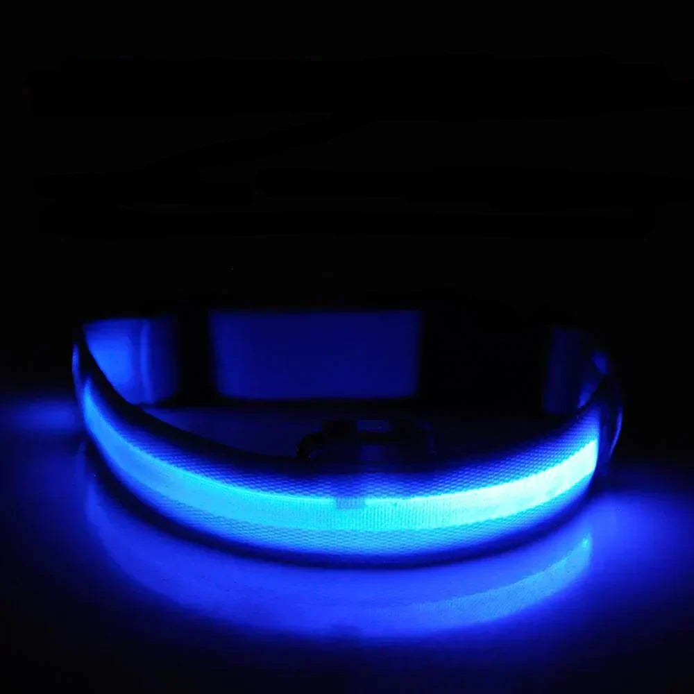 BowLift | GlowPets LED Collar – Safety & Visibility for Pets