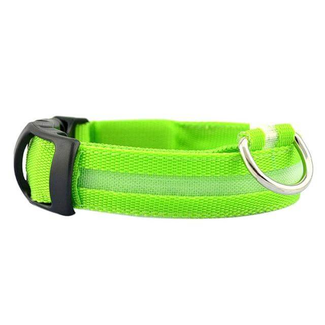 BowLift | GlowPets LED Collar – Safety & Visibility for Pets