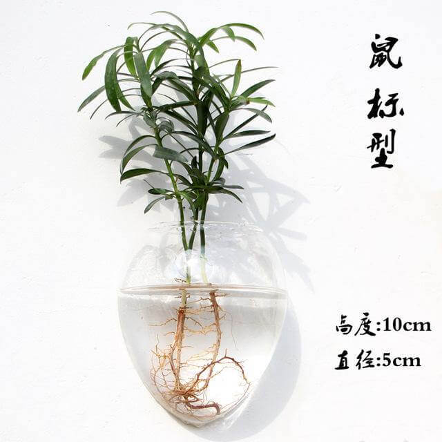 BowLift | Handmade New Hexagonal Wall Clear Terrarium Vase