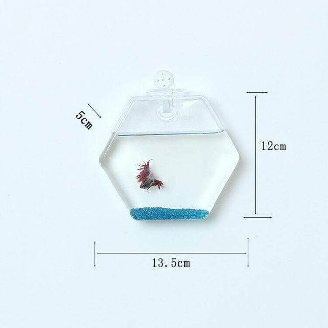 BowLift | Handmade New Hexagonal Wall Clear Terrarium Vase