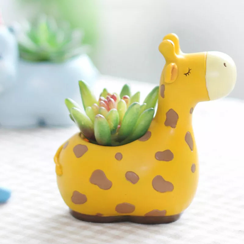 BowLift | Animal Plant Pots – Funny Animal Designs for Succulents and Cacti