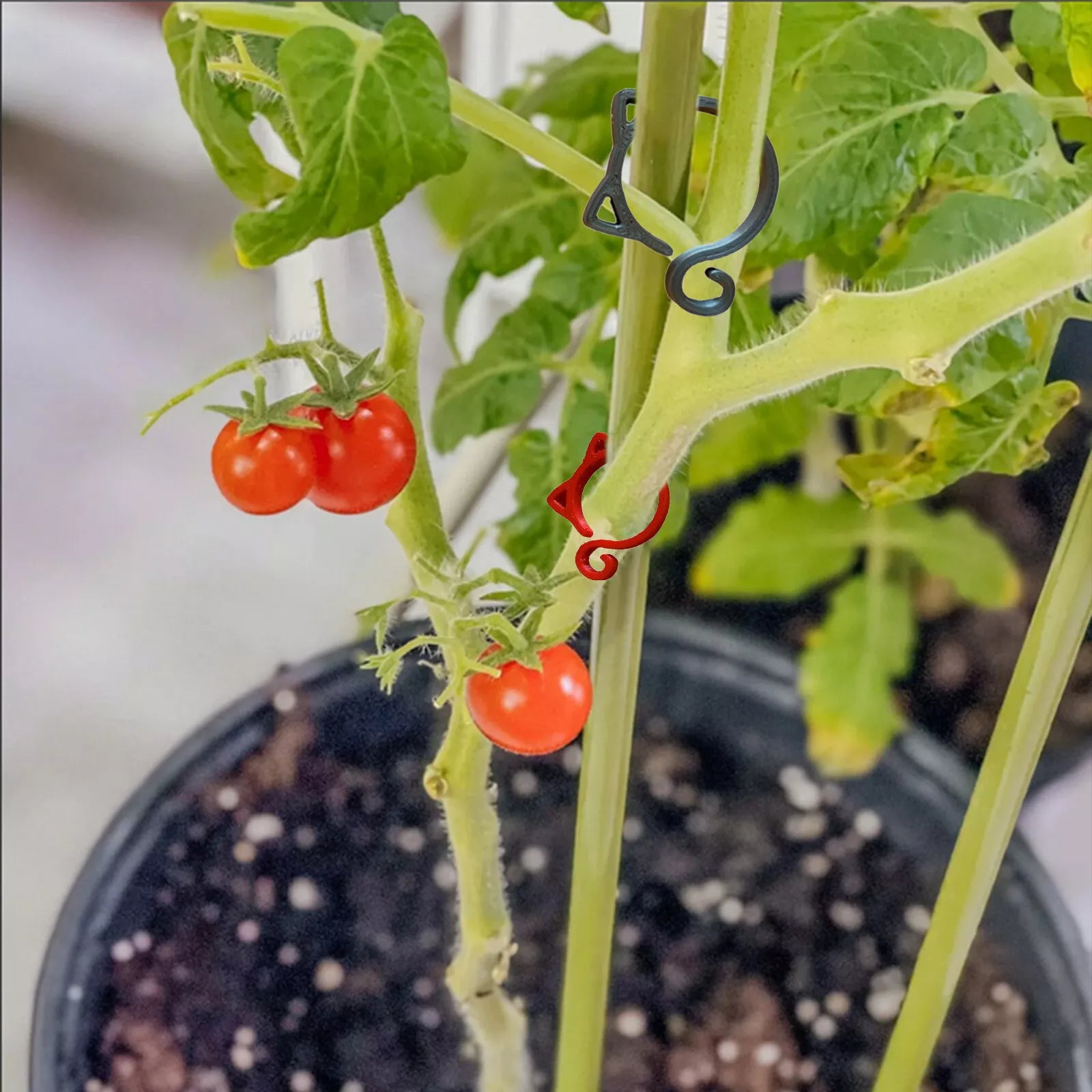 BowLift | Cat-shaped Plant Clip – Cute Plant Support for Garden and House Plants