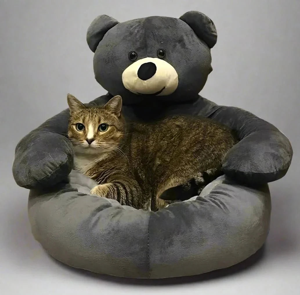 BowLift | Cozy Cat Bed with Security & Comfort