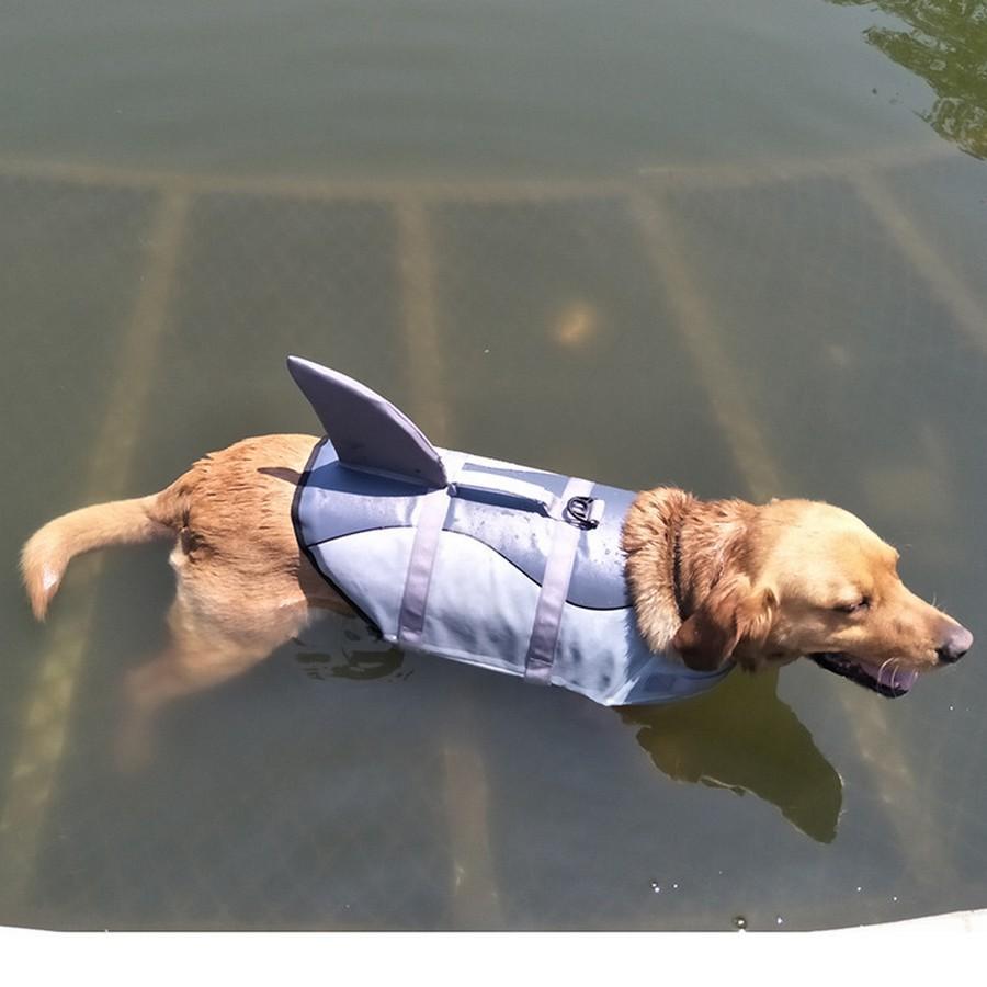BowLift | Dog's Shark Life Vest