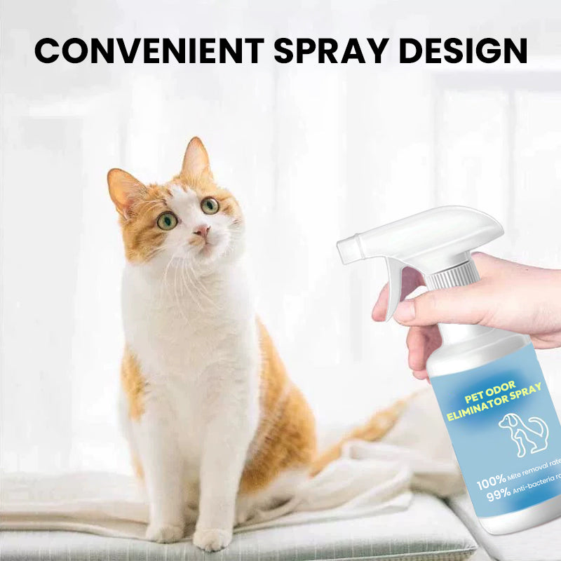BowLift | Spray for removing pet odor