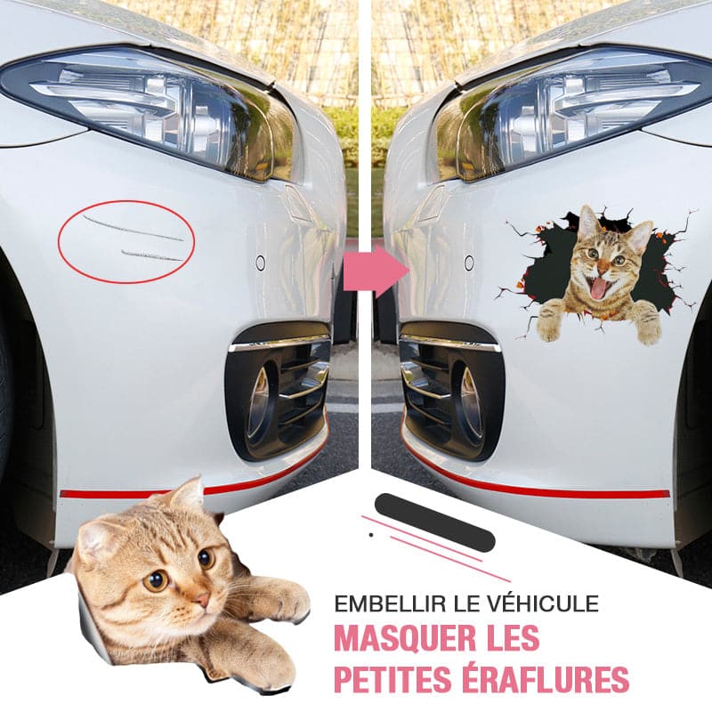 BowLift | 3D stickers with cats and dogs that can be removed