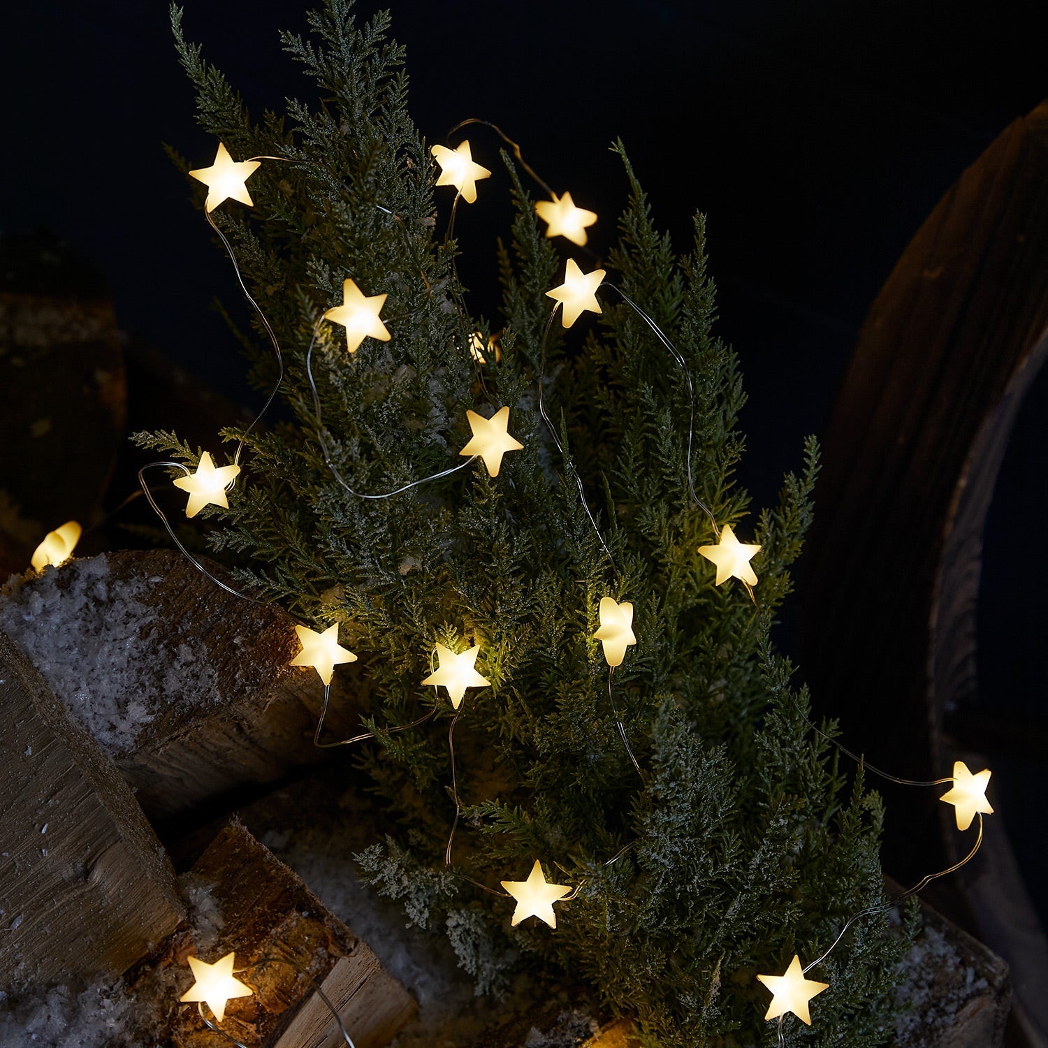 BowLift | Christmas Decorations LED Star Lights