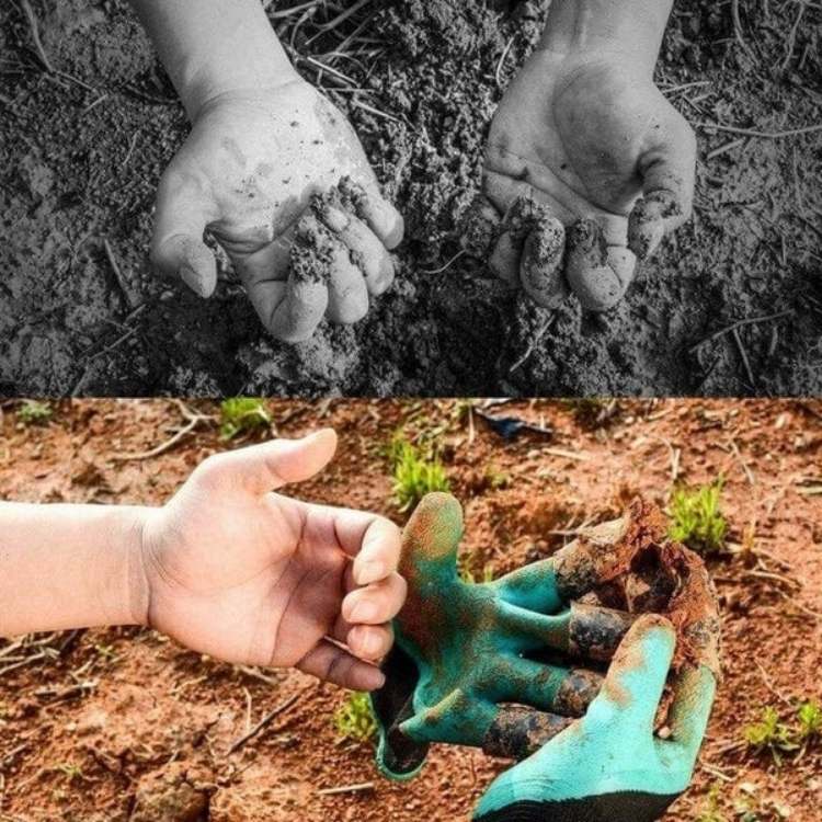 BowLift | Gardening Gloves with Removable Claws | Durable, Puncture-Resistant & Comfortable for Digging, Planting, and Raking