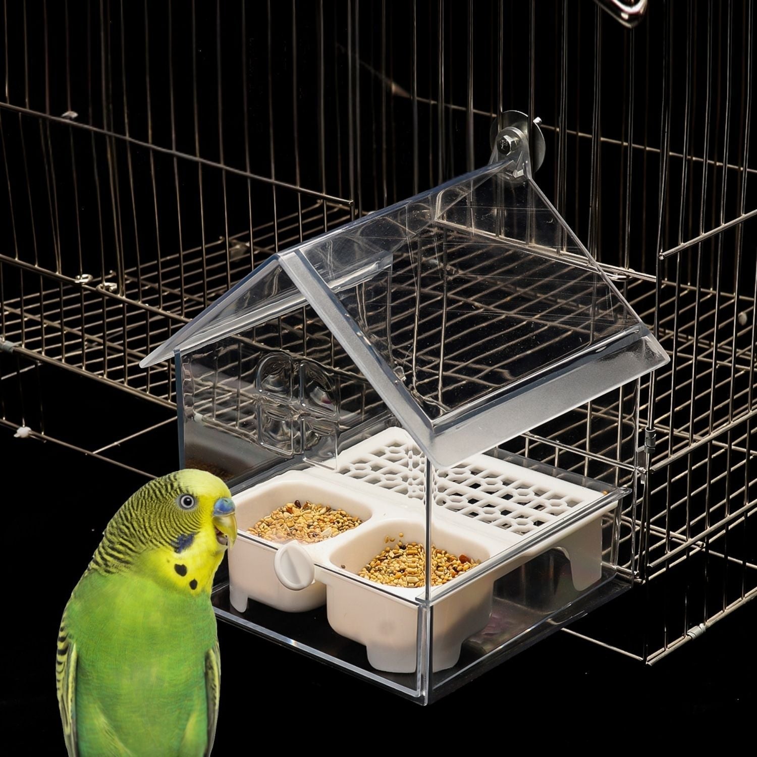 BowLift | External Bird Feeder and Bathhouse – Space-Saving Anti-Spill Feeding Solution