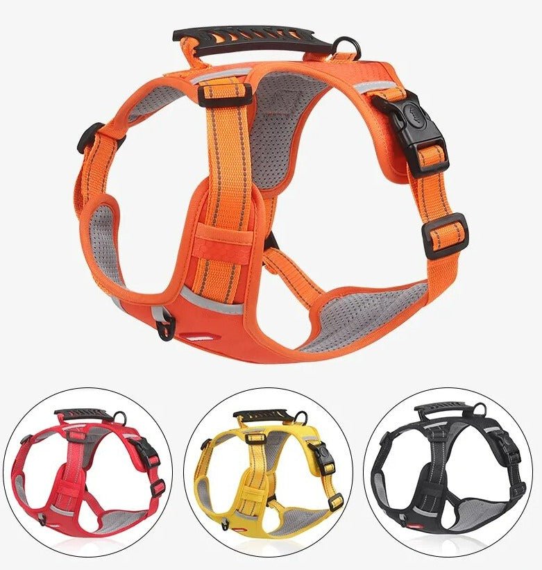 BowLift | WalkEase Harness – Anti-pull dog harness for relaxed walks & healthy posture