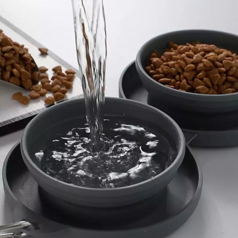 BowLift | Travel Dog Dinner Set