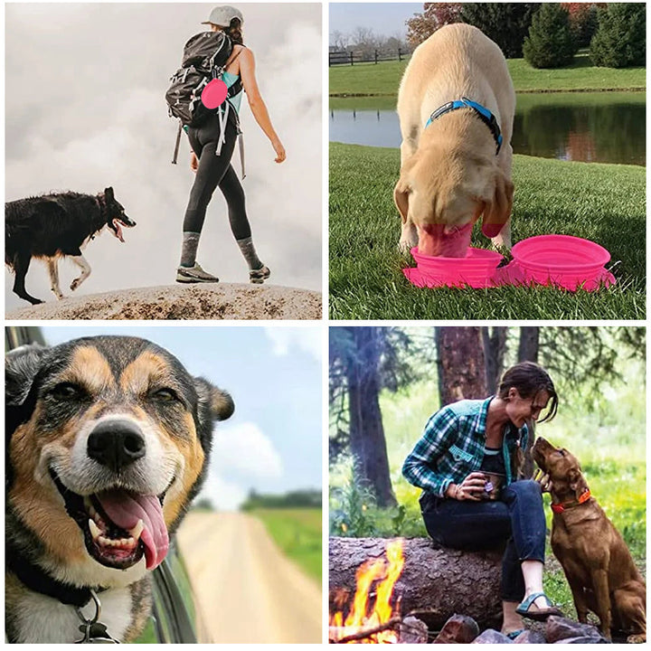 BowLift | Pawfun Travel Dog Dinner Set