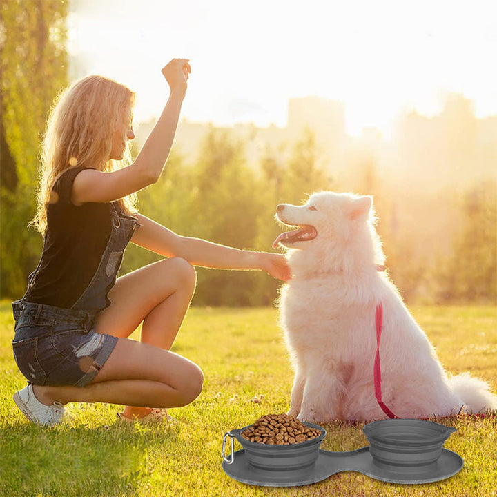 BowLift | Pawfun Travel Dog Dinner Set