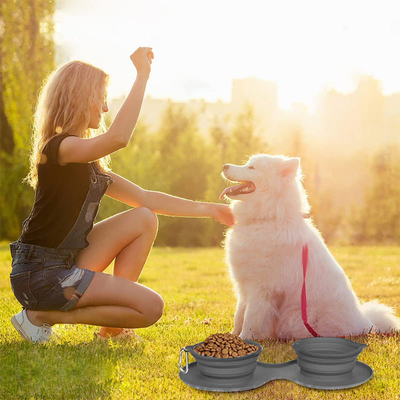 BowLift | Travel Dog Dinner Set