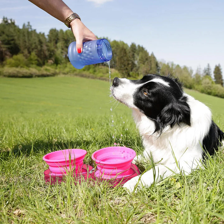 BowLift | Travel Dog Dinner Set