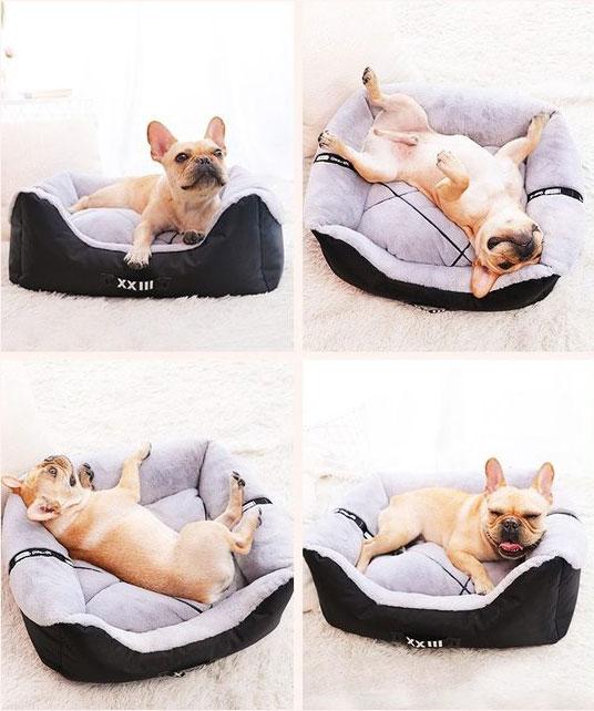 Ace - Luxury Nest Pet Bed | Bowlift