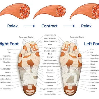 BowLift | EMS Foot Massager