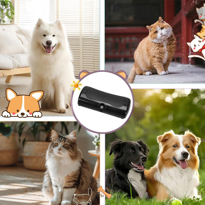 BowLift | FurMaster – For a clean, shiny, and happy pet