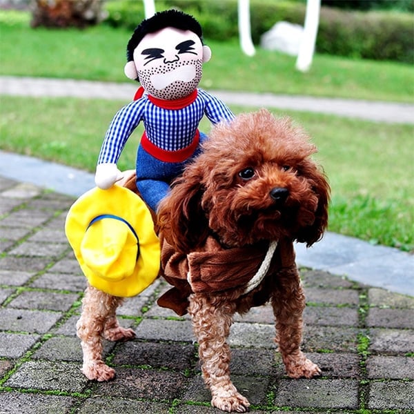 BowLift | The Cowboy Rider Dog Costume