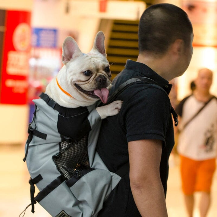 Bowlift Dog Travel Backpack