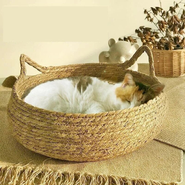 Bowlift Haven Pet Retreat