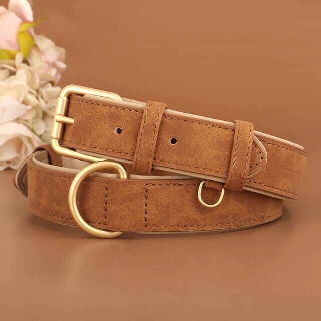 Bowlift Pup Collar