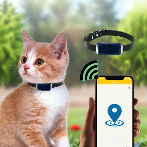 BowLift | GPS Tracker Realtime Leather Pet Collar