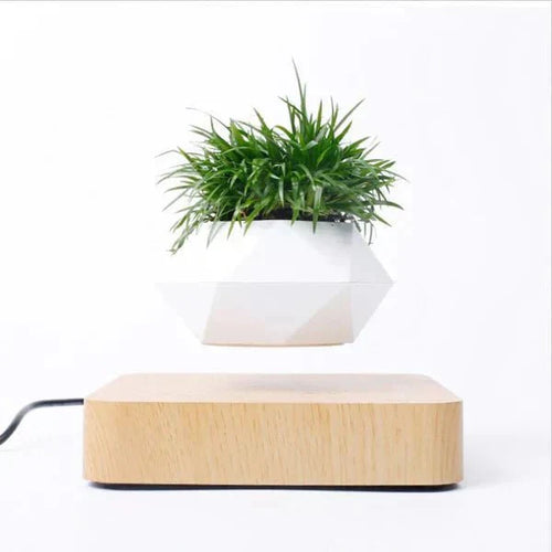 BowLift | Anti-gravity plants - Astonish your space - Nature reinvented