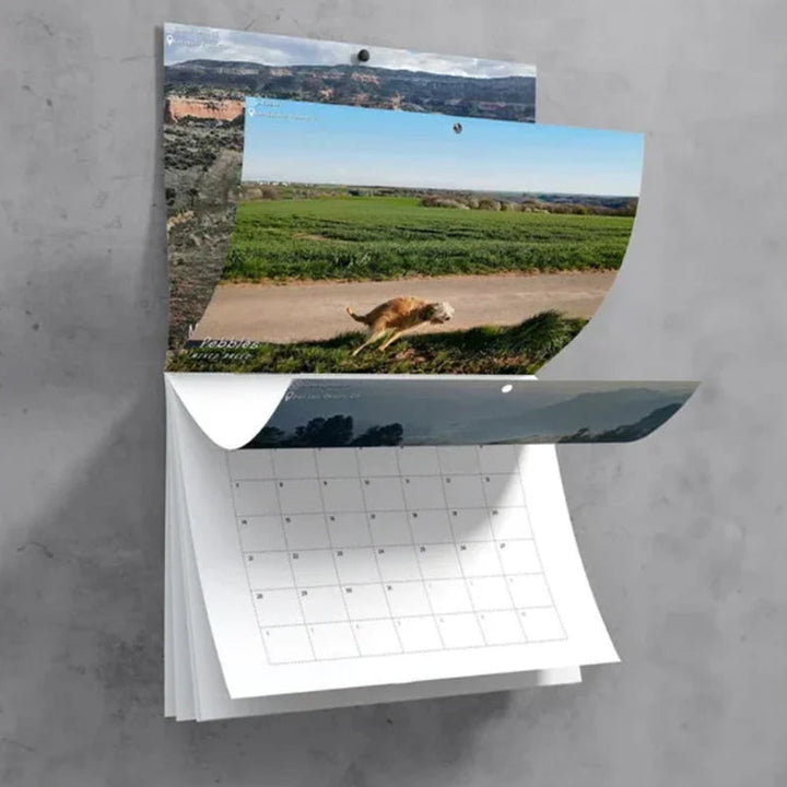 BowLift | Pooping Pooches Dog Calendar