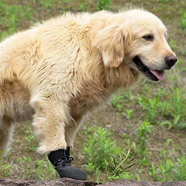 BowLift | Outdoor waterproof breathable hiking running non-slip dog shoes