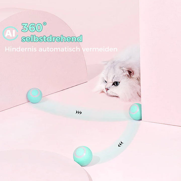 Intelligent Electric Self-Rolling Cat Toy Ball | Bowlift