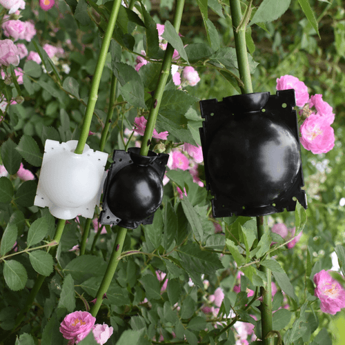 BowLift | Air Layering Plant Propagator Pod