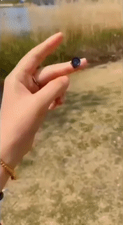 BowLift | Mini Wifi HD Hidden Camera