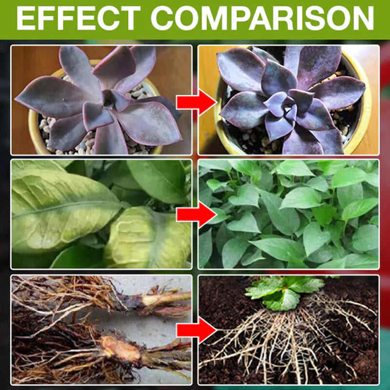 BowLift | Plant Growth Enhancer Supplement